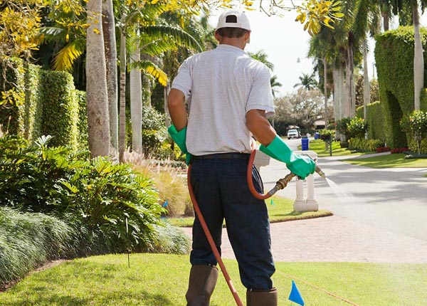 About Franklin MI Pest Control